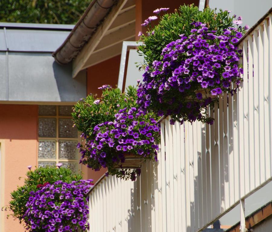 Hotel Morgensonne Badenweiler Exteriör bild